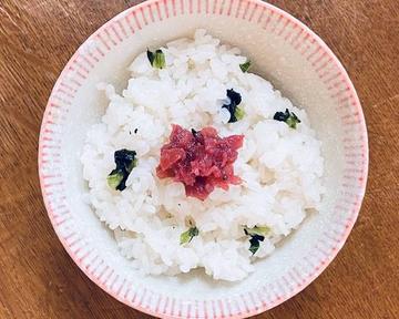 おにぎり(梅青菜)