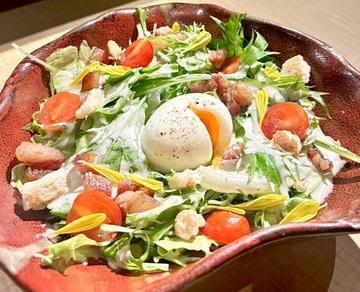 半熟卵とベーコンのシーザーサラダ
