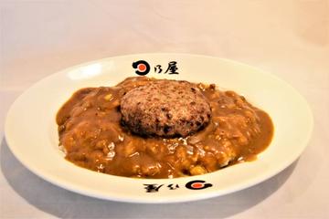 ハンバーグカレー Hamburg Steak Curry