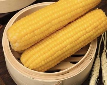 蒸しとうもろこし(北蒸黏玉米)