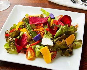 神奈川県野菜のグリーンサラダ Green Salad with Kanagawa Vegetables