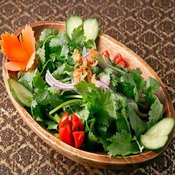 パクチーサラダ Pakuchi Salad