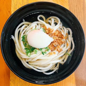 【温泉卵入り】冷やかけうどん
