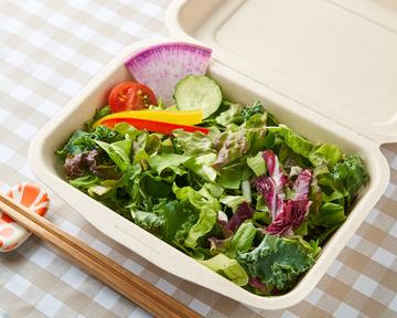 選べるドレッシング10種の野菜サラダ