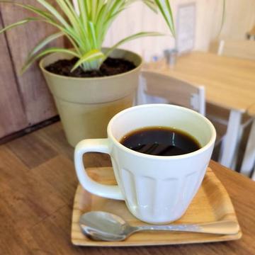 ホットコーヒー/ Hot Coffee