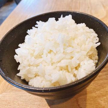 佐賀県産 炊きたて白ごはん