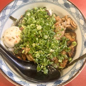 ネギだく炭火焼鳥丼
