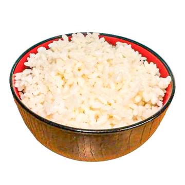 Rice (ごはん)