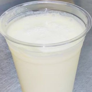 プレンラッシ(plain lassy)