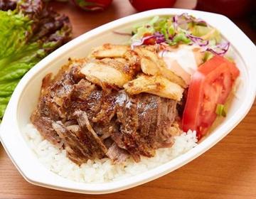 ミックスケバブライス Beef & Chicken Kebab with Rice