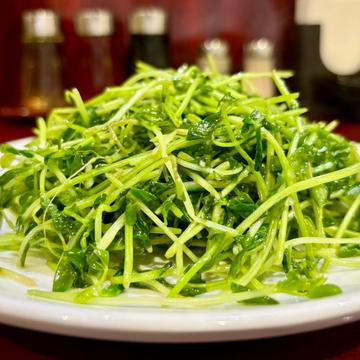 豆苗サラダ-豆苗沙拉