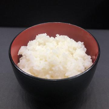 白ごはん(並)