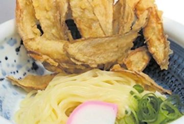 国産ごぼう天ぶっかけうどん