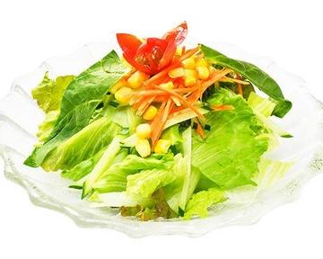 Garden fresh salad ガーデンフレッシ ユサラダ
