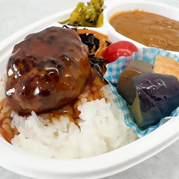 ハンガリー風 グャーシュビーフカレー 照り焼きハンバーグ