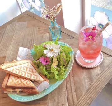 ホットサンドとサラダとドリンクセット