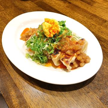 背脂生姜焼餃子(5個)