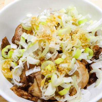塩ダレがけネギ豚丼