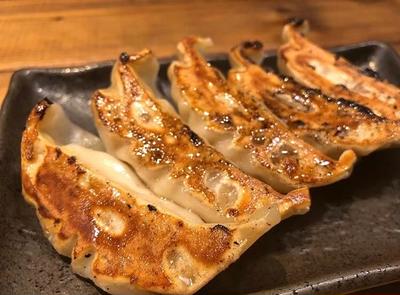 肉汁鶏餃子
