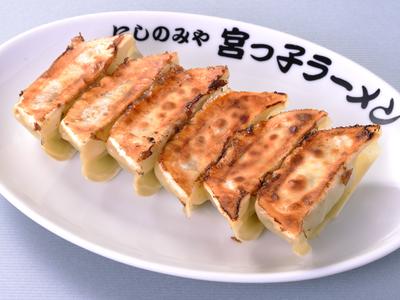 野菜たっぷりギョーザ(6個)