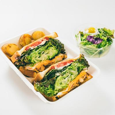 グリルドチキンとチェダーチーズのサンドイッチ