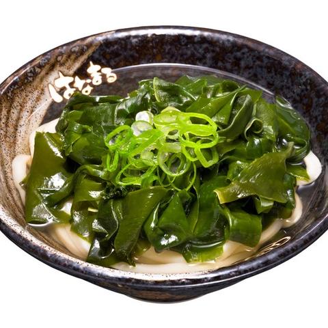 はなまるうどん テックライフセレクト尼崎店 わかめうどん