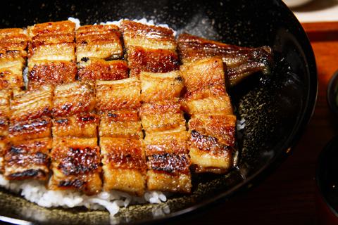 鉄・釜・鰻 ねどこ 南森町店 三重県産うなぎ!特選鉄釜ダブル丼(丸々一尾) 」(漬物・タレ・山椒付)