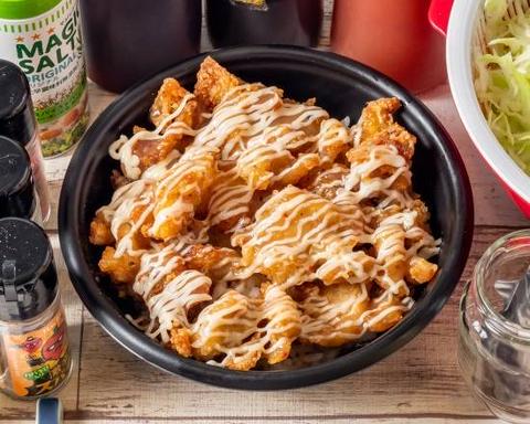 からあげの山ちゃん からあげ丼 大