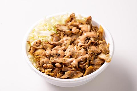 レイスケバブ 新宿店 ケバブ丼 レギュラー Kebab ricebowl(単品)
