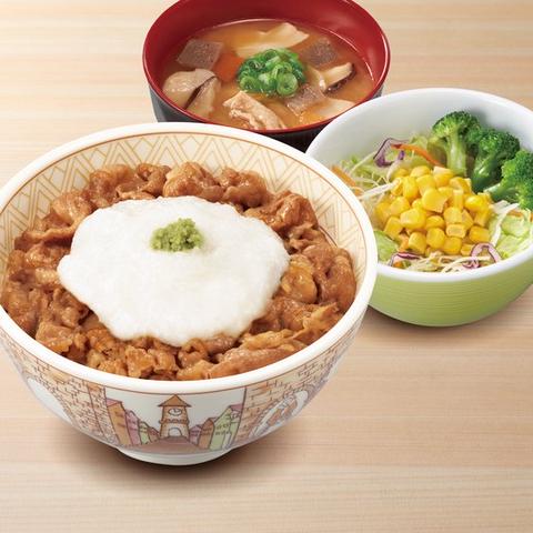 すき家 163号門真殿島店 わさび山かけ牛丼とん汁サラダセット