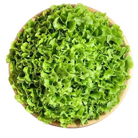 Green×Green上野マルイ店 自由に選べるカスタムサラダ ※ミックスリーフとドレッシングのみでも対応できます。