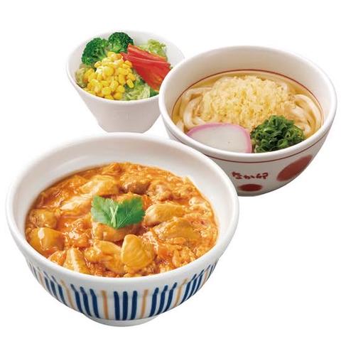 なか卯 八王子店 親子丼 はいからうどん&サラダセット