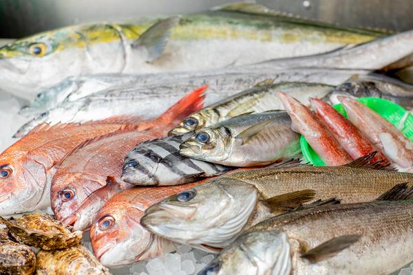今朝どれ鮮魚専門問屋 早鈴直売所