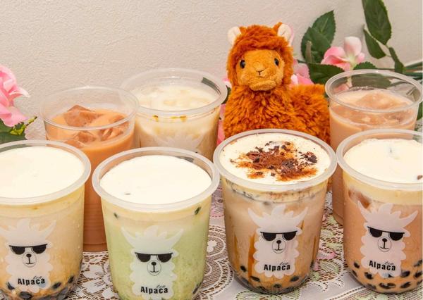 Tea Alpaca