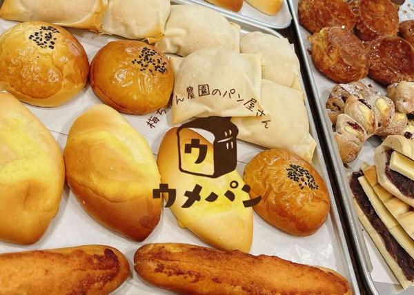 梅ちゃん農園のパン屋さん