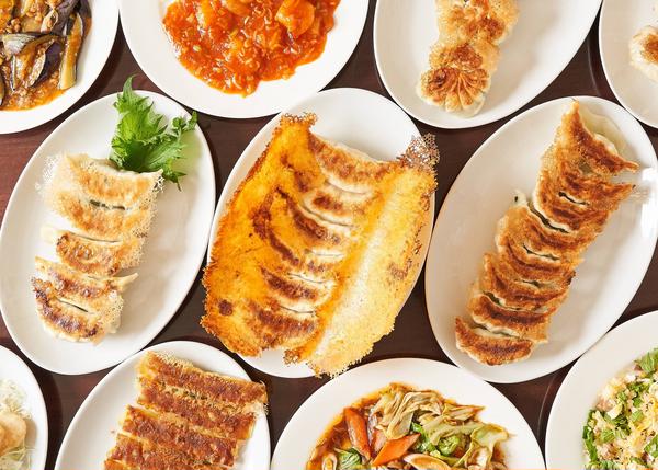 藤井屋餃子専門店
