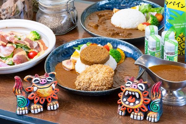 スパイス欧風カレーPAIKAJI