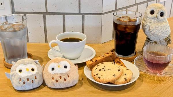 Cafe ChouetteBlanc