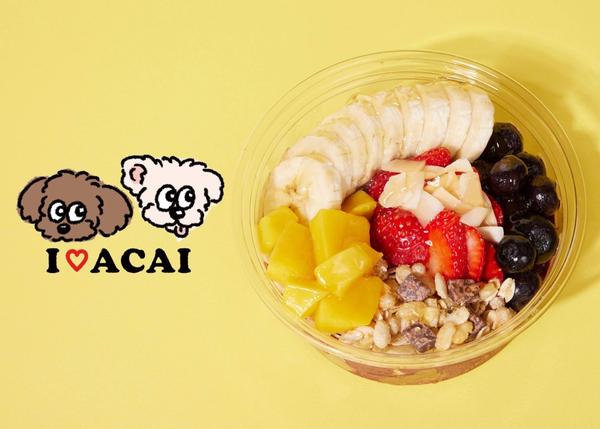 I  ACAI (アイラブアサイー)