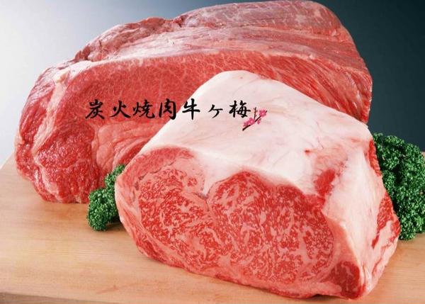 炭火焼肉牛ヶ梅