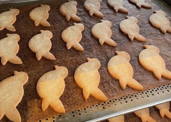 torinos