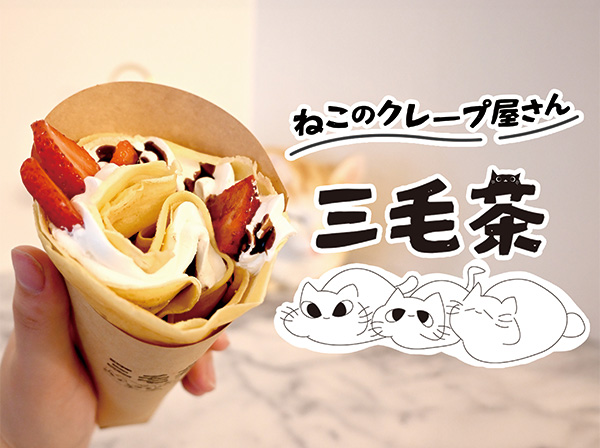 三毛茶