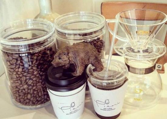 Pieni Joki Coffee