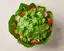 たっぷりパクチーサラダ Coriander Salad