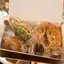 お得なパンBOX