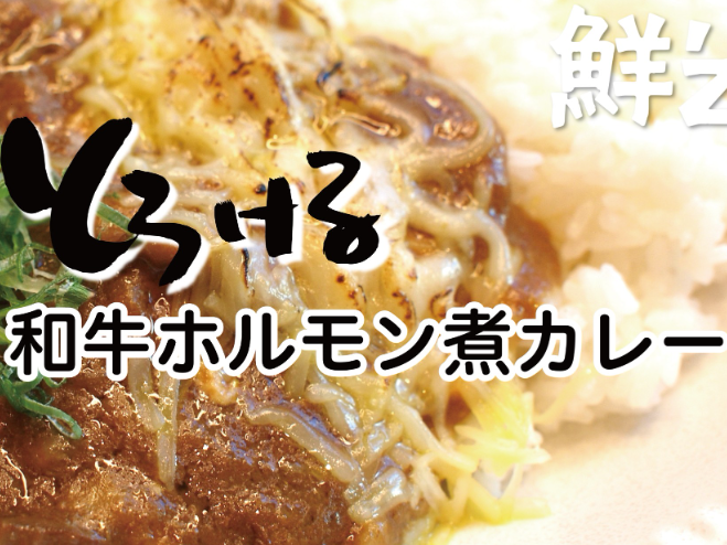 とろける和牛ホルモン煮カレー 鮮’z