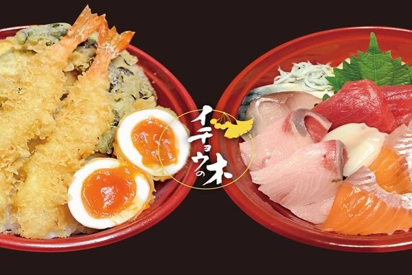 イチョウの木